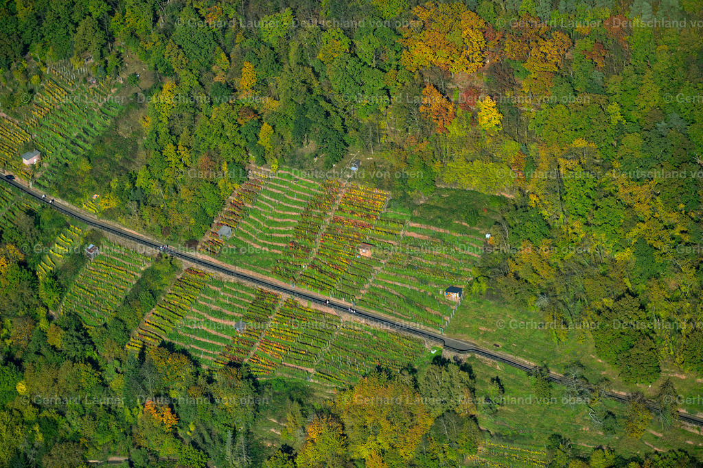 3491161 | Weinberge bei Klingenberg