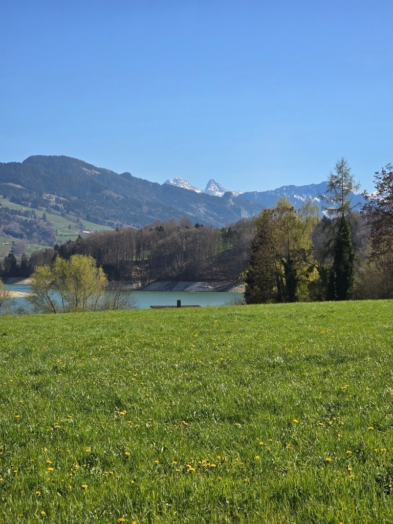 20250410_160659 | Heilkarten - Realisiert mit Pictrs.com