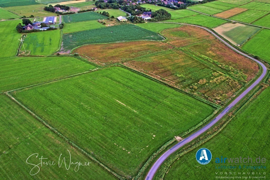 Luftbilder Hattstedtermarsch | Luftbilder, Nordsee, Nordfriesland, Hattstedtermarsch, Speckiweg
