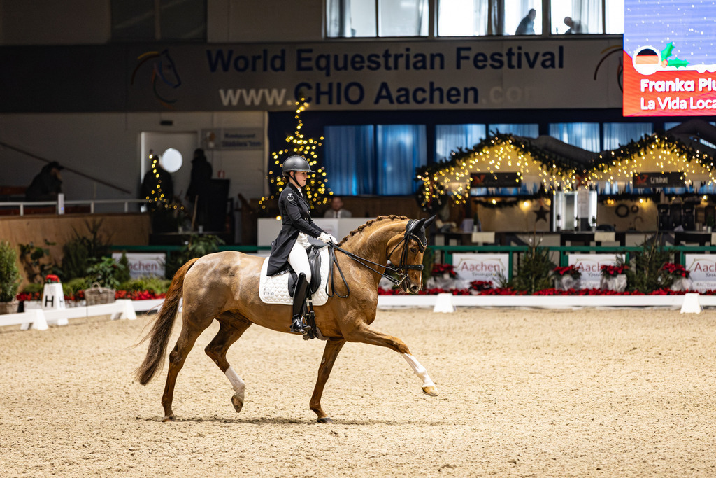 126A6791 | jasminmetznerfotografie