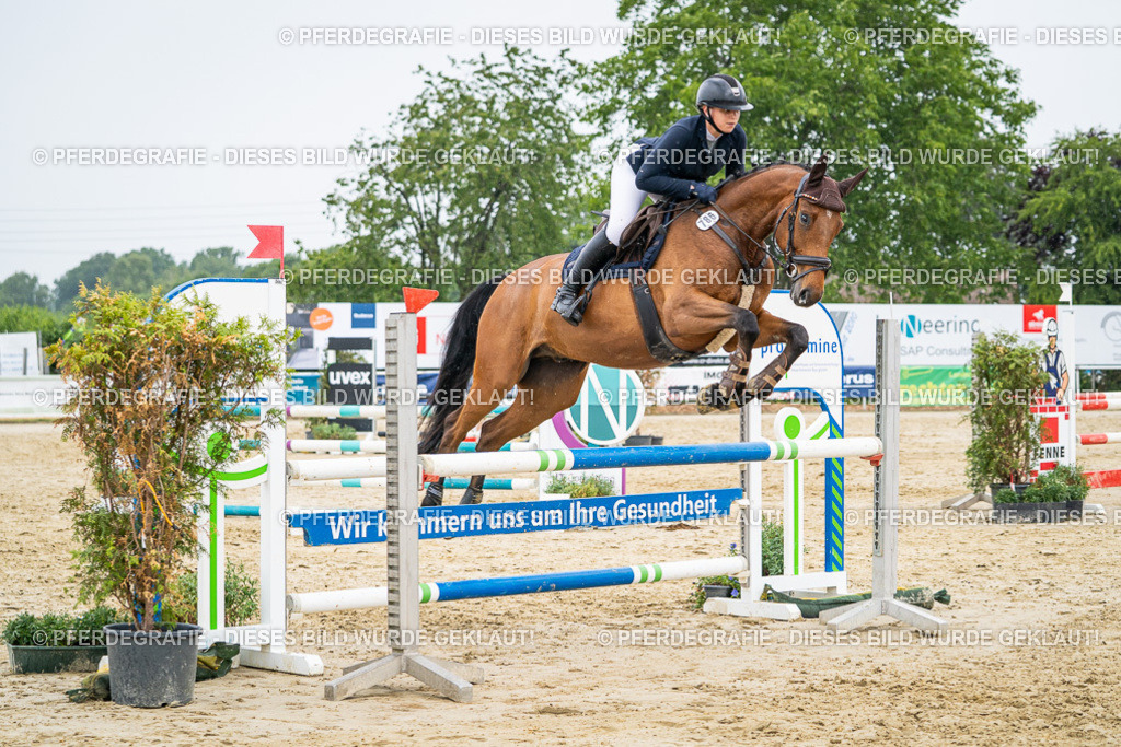 DSC00886 | Pferdegrafie