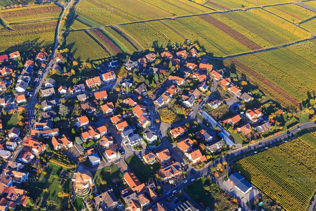 Luftbild: Wohngebiet in der Von-Dalberg-Straße im Ortsteil SaintMartin in Sankt Martin im Bundesland Rheinland-Pfalz in Deutschland. Foto: IMG_095631.jpg vom 30.10.2016 durch Werner Riehm/FLY-FOTO.de