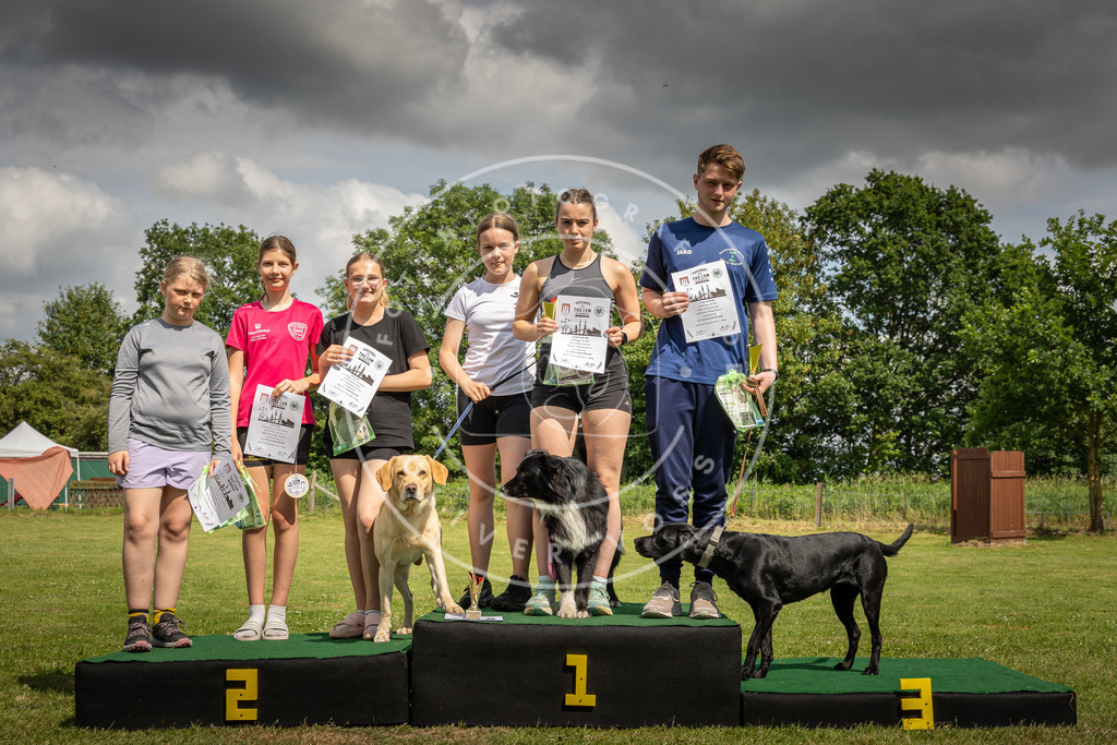 Pfotenfotografie_0L8A4290 | Hundefotografie, Tierfotograf, Pfotenfotografie, Fotoshooting Hund, Hunde Portrait, Hundesport, Hundeportraits, Heideshooting, Hunde, Sportfotograf, Hundefotograf, Turnierhundsport, THS,  - Realisiert mit Pictrs.com
