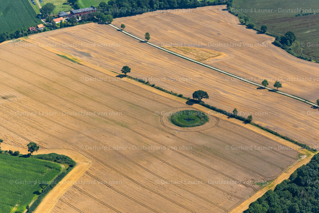 4037680 | Feldstrukturen bei Golsmaas