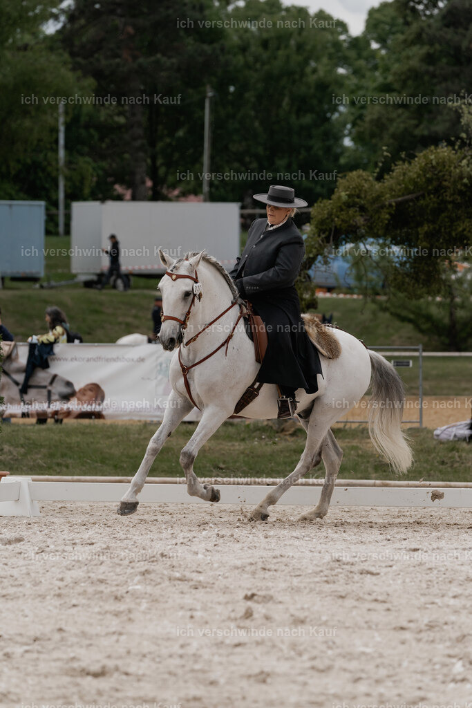 WE_DR_Stoib_321_PI2025_334 | Pferd International München 2025