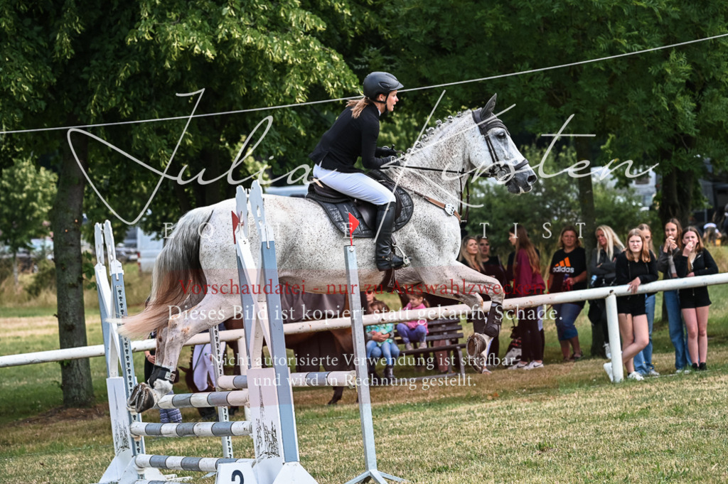 DSC_8338 | Pferde- und Turnierfotografie in Westsachsen. Pferdeportraits, Auftragszeichnungen und intuitive Kunst.