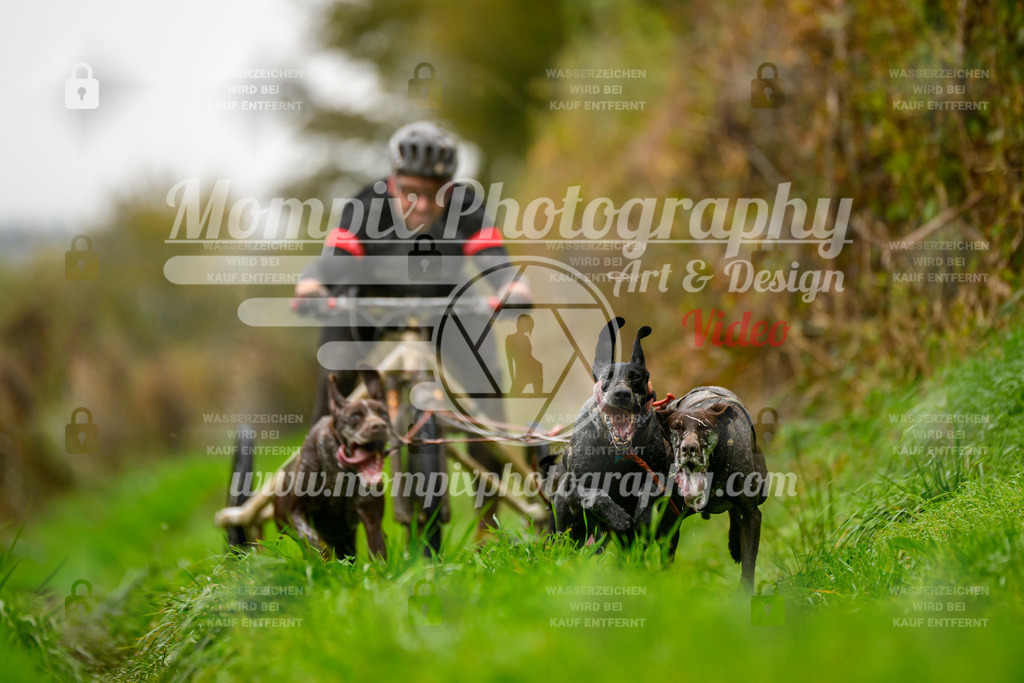 MompixPhotography_20TSB_E8_Kart-7 | PayLife