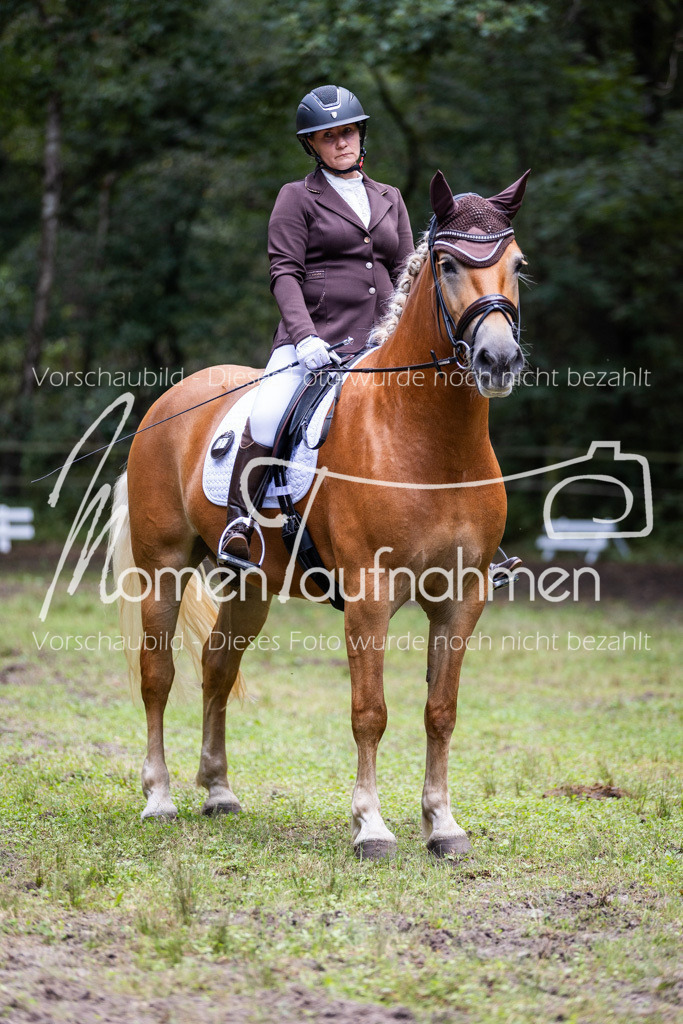 HB-Dressur-WB-082 | MomenTaufnahmen Pferdesportfotos