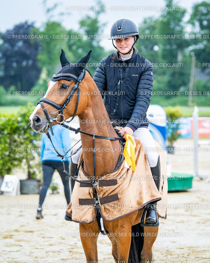 DSC03299 | Pferdegrafie