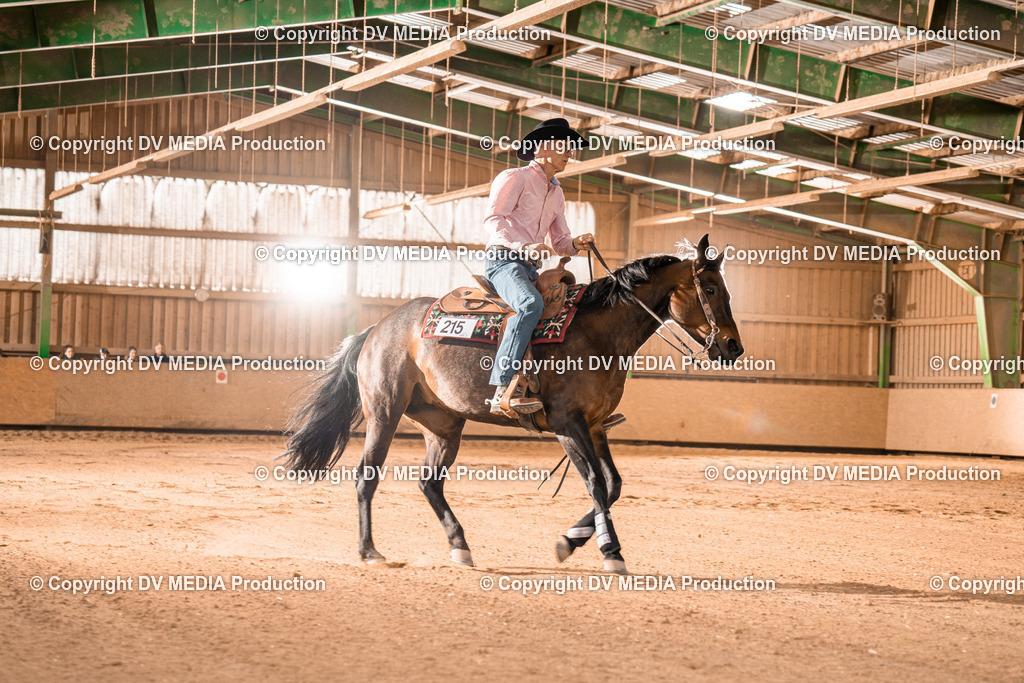 BA301164 | dv-media-shop - Realisiert mit Pictrs.com