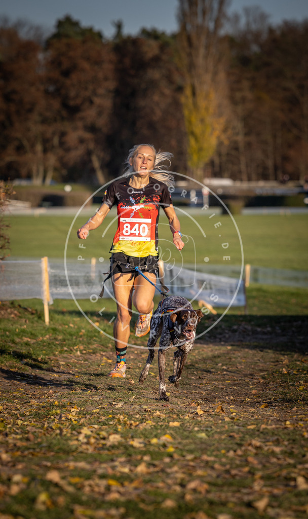 CaniXpix_DV3A3624 | Hundefotografie, Tierfotograf, Pfotenfotografie, Fotoshooting Hund, Hunde Portrait, Hundesport, Hundeportraits, Heideshooting, Hunde, Sportfotograf, Hundefotograf, Turnierhundsport, THS,  - Realisiert mit Pictrs.com