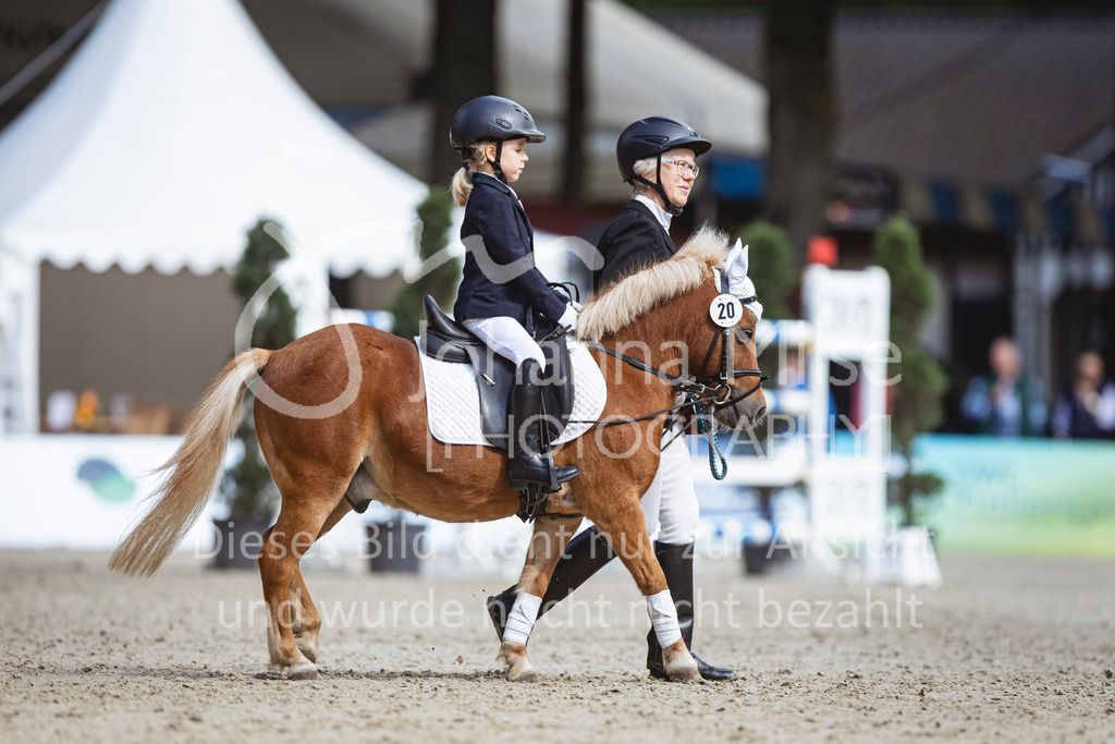 240915_OWLCh_FuehrzuegelWB-667 | Deine schönsten Turniermomente als professionelle Fotos! Entdecke hochwertige Pferdesport-Fotografie im Online-Shop. Jetzt Fotos finden & bestellen!