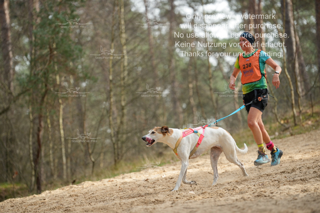 LangeCross-136 | stephaniefillaphotographie - Realisiert mit Pictrs.com