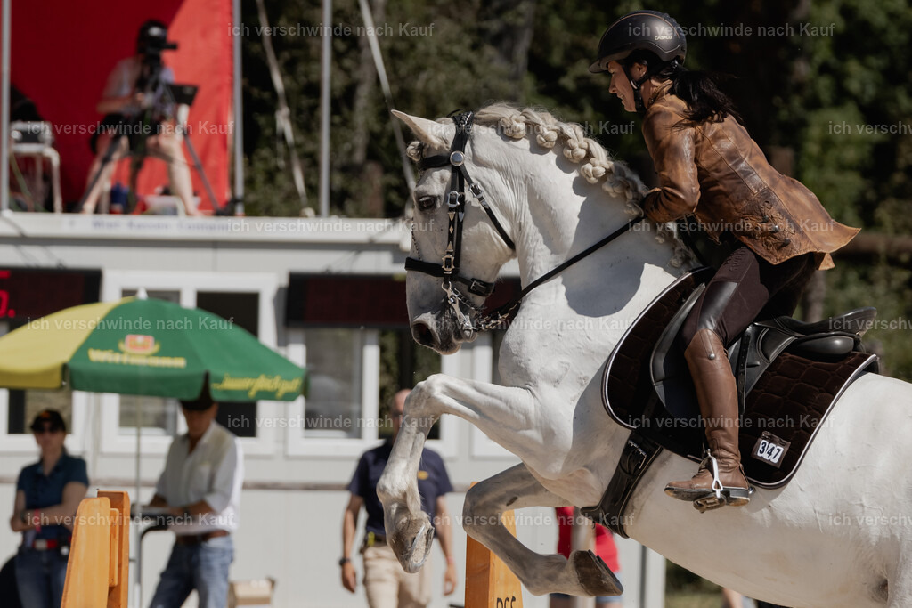 WE_SP_Stoib_347_PI2025_1556 | Pferd International München 2025