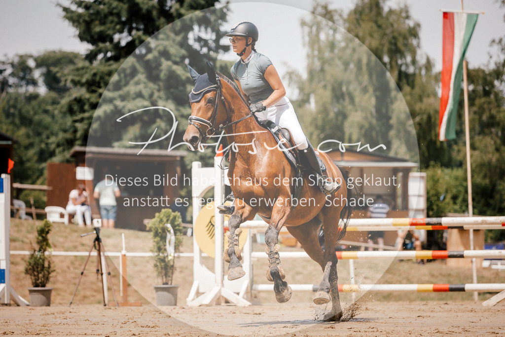 3I6A8030 | Stimmungsvolle Portraits und Reitsportfotografie im Ruhrgebiet und im Münsterland.

Pferdefotografie, Hundefotografie, Tierfotografie, Reportagen, Portraits von Tier und Mensch, Turnierfotografie in Bochum, Recklinghausen, Marl, Haltern am See, Dülmen.. - Realisiert mit Pictrs.com
