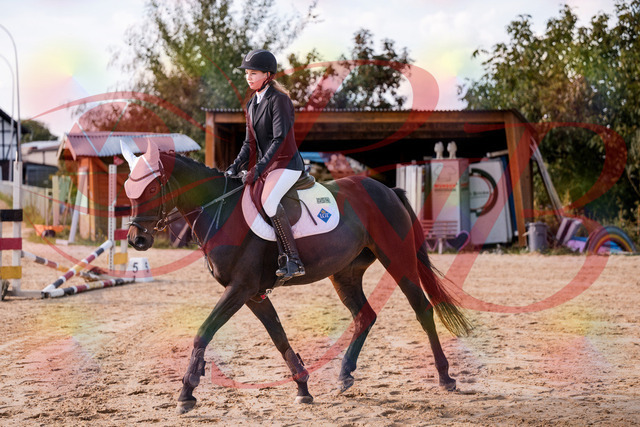 2026_10_03_Siefer-Hof_145743_Z81_39926069 | Professionelle Reitsport-, Turnier- und Eventfotografie von Robert Broda. Galerien mit ausgewählten und bearbeiteten Bildern direkt online ansehen und bestellen.