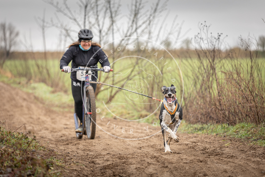 DV3A9255 | Hundefotografie, Tierfotograf, Pfotenfotografie, Fotoshooting Hund, Hunde Portrait, Hundesport, Hundeportraits, Heideshooting, Hunde, Sportfotograf, Hundefotograf, Turnierhundsport, THS,  - Realisiert mit Pictrs.com