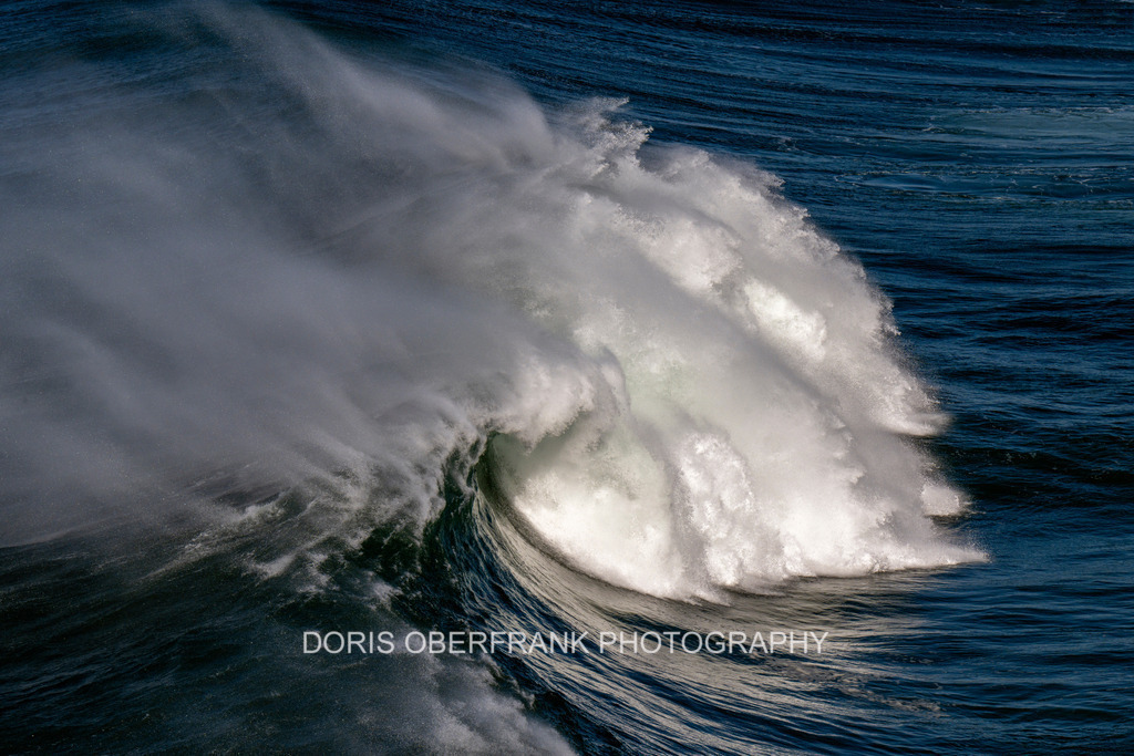 Gift of sea | Nazaré: Gift of sea - Realisiert mit Pictrs.com