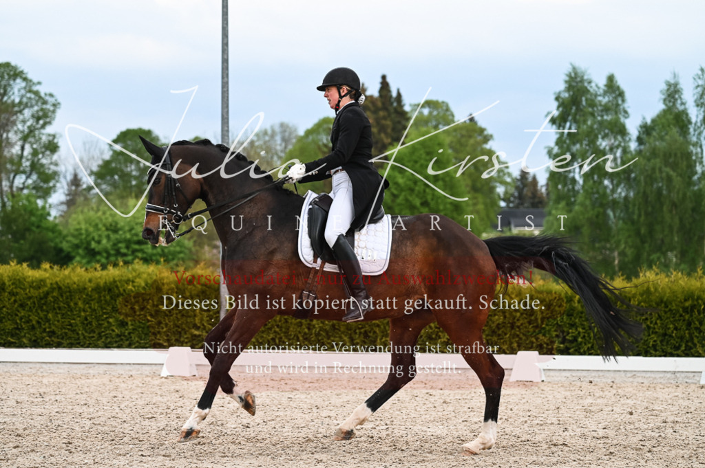 20230513_JK-Röhrsdorf-13-369 | Pferde- und Turnierfotografie in Westsachsen. Pferdeportraits, Auftragszeichnungen und intuitive Kunst.