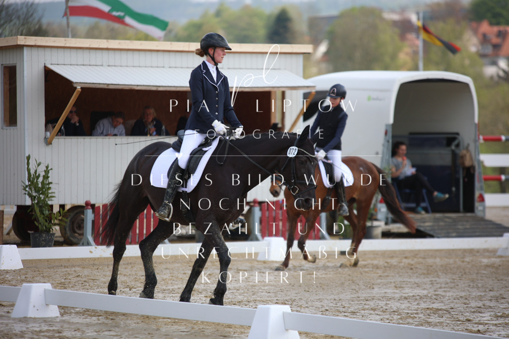 IMGT2344 | pl-fotografie