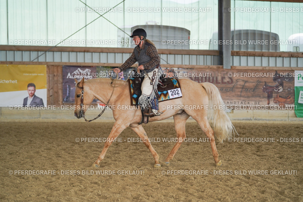 DSC00974 | Pferdegrafie