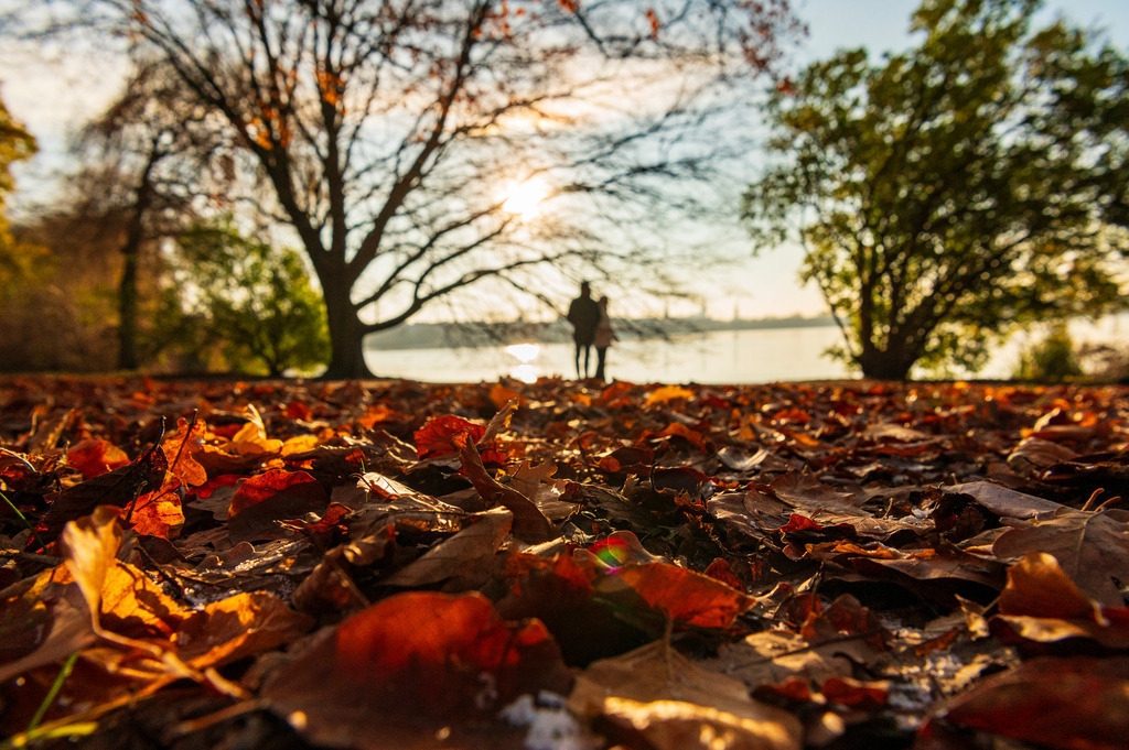 2022_12_11_HH-ALSTER_MCP6093 | Hochwertig gedruckte Fotografien für die Wand, als Kalender und zum Verschenken. Hamburg & Norddeutschland und überall wo ich mit der Kamera unterwegs war.