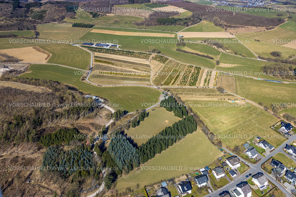 Meschede250304653 | Luftbild, Baumschule Plantage, Luciastraße, Berge, Meschede, Sauerland, Nordrhein-Westfalen, Deutschland