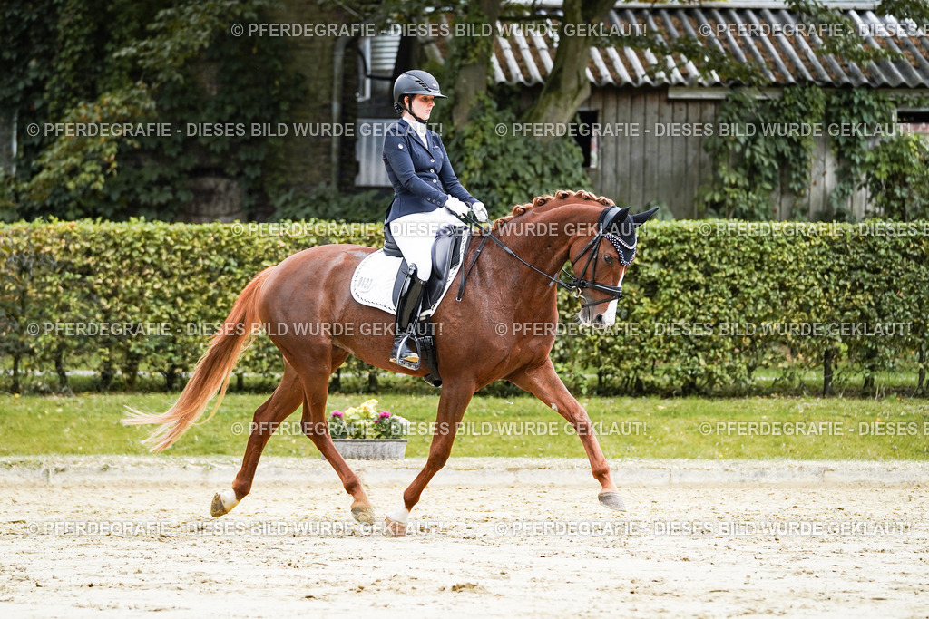 DSC06949 | Pferdegrafie