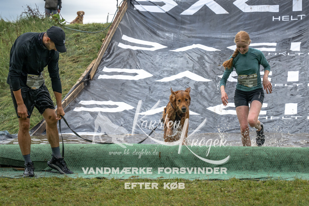 1531_ZZ93991 | kk-dogfotos