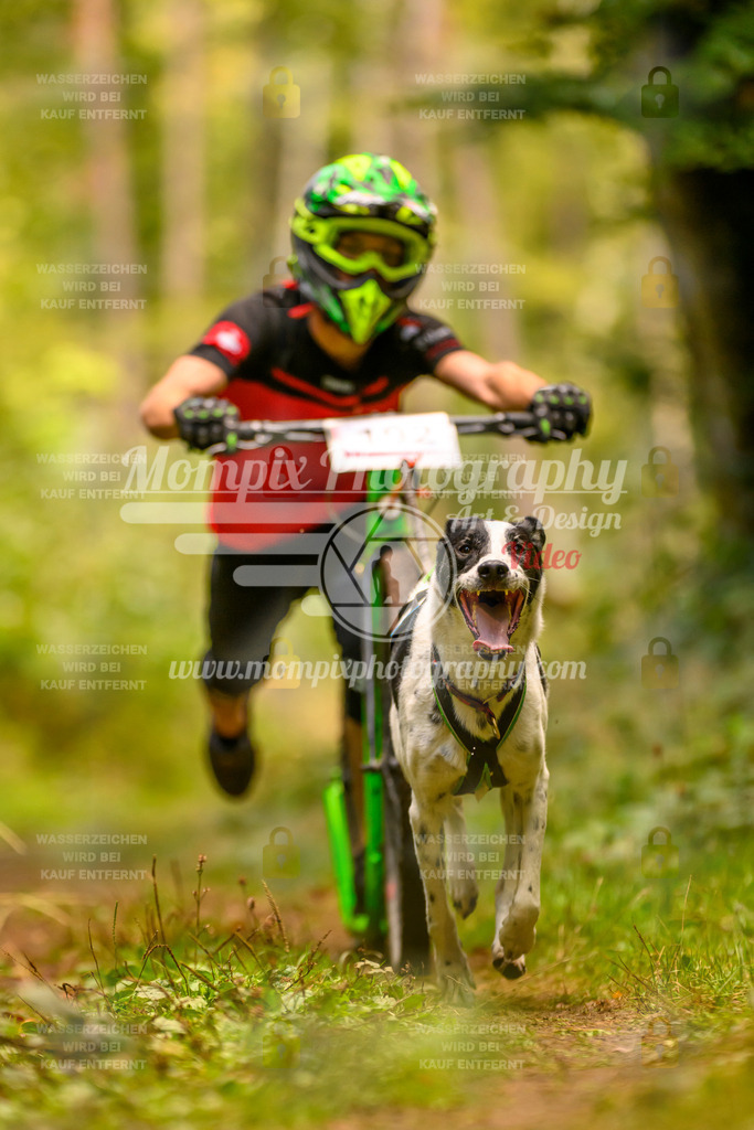 MompixPhotography_Yens2025_B2-115 | PayLife