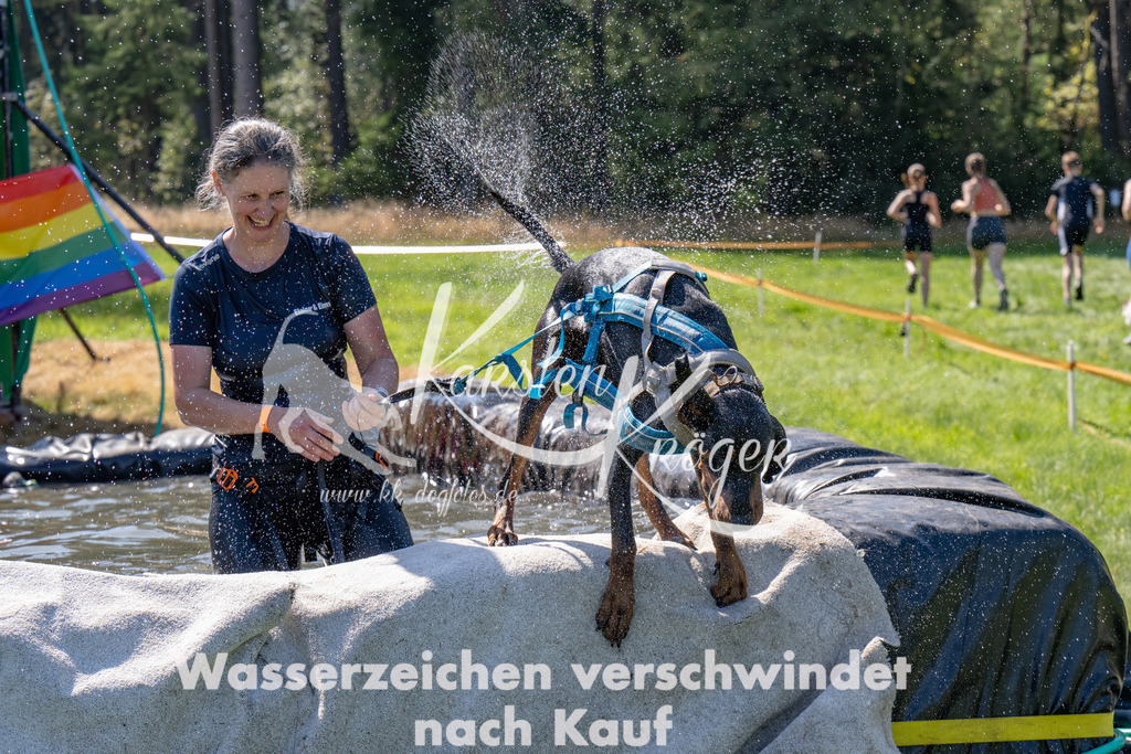 1245_ZZ93497 | kk-dogfotos
