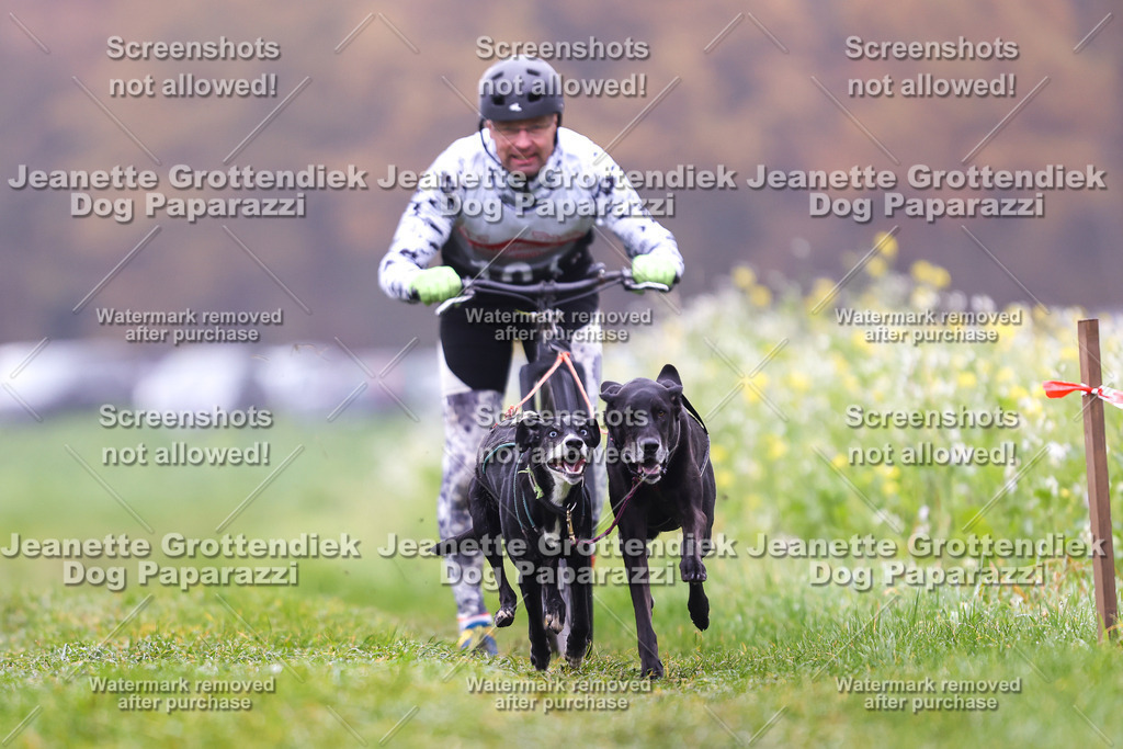 Dog Paparazzi - Visbeck 25 -58 | Dog Paparazzi Jeanette Grottendiek Fotografie & Videografie - Realisiert mit Pictrs.com