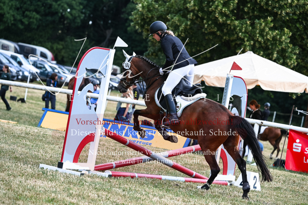 DSC_9786 | Pferde- und Turnierfotografie in Westsachsen. Pferdeportraits, Auftragszeichnungen und intuitive Kunst.