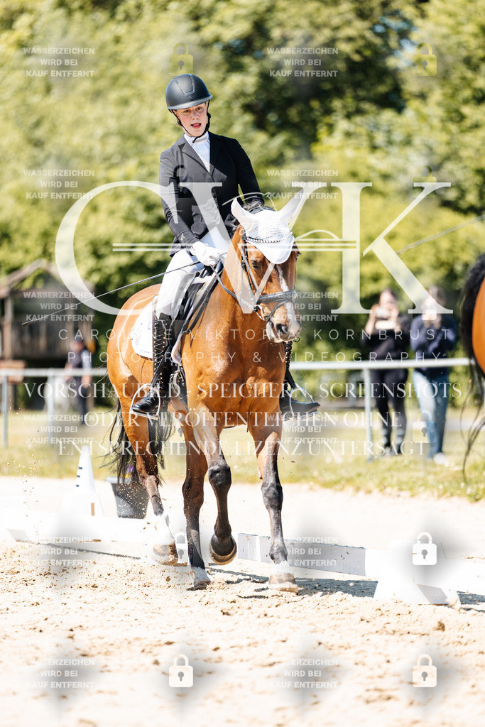 CK905925 | Turnierfotografie Pferdefotografie Trier Rheinland-Pfalz Pferdesport Reitsport Tierfotografie Sportfotografie Pferdevideo Pferdevideografie Equestrianvideography equestrianphotography  - Realisiert mit Pictrs.com