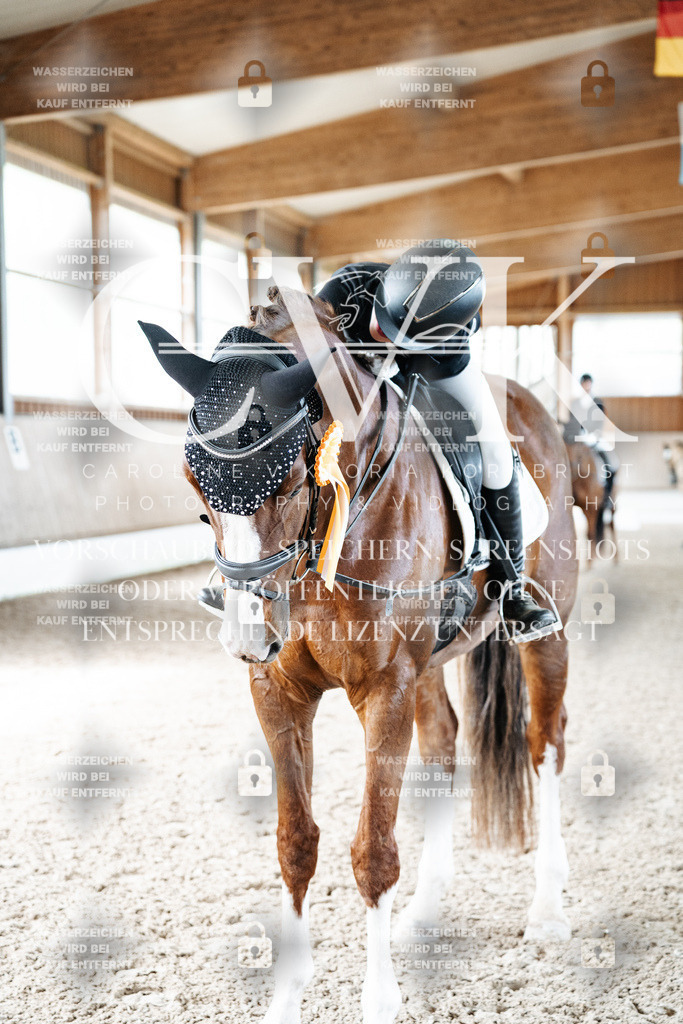 CK703321 | Turnierfotografie Pferdefotografie Trier Rheinland-Pfalz Pferdesport Reitsport Tierfotografie Sportfotografie Pferdevideo Pferdevideografie Equestrianvideography equestrianphotography  - Realisiert mit Pictrs.com