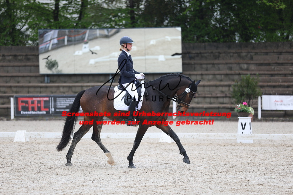 A40A8237 | lmwpictures - Realisiert mit Pictrs.com