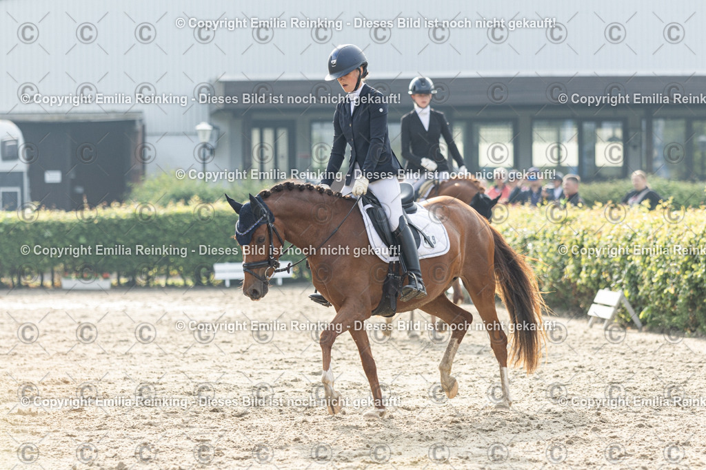 CL5A3624 | Emilia Reinking Fotografie - Realisiert mit Pictrs.com