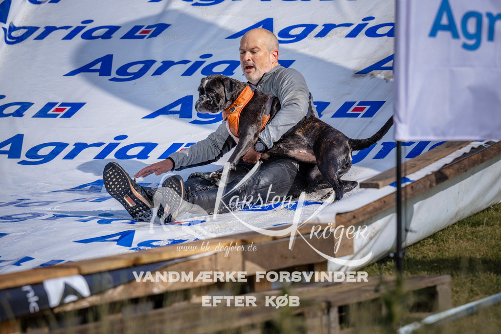 _ZZ950400723 | kk-dogfotos