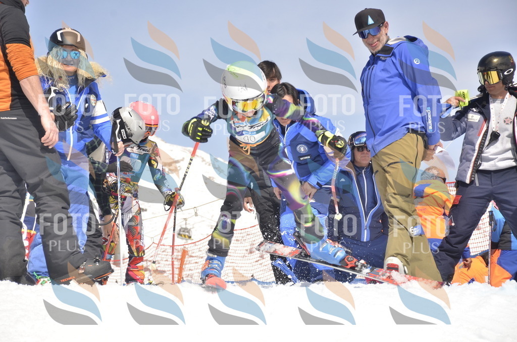 _ELE9274 | holidayphoto