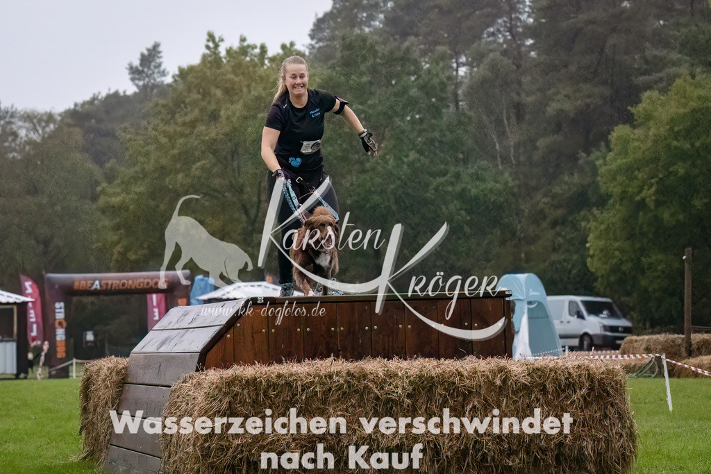 0806-_ZZ90182-Bearbeitet-Bearbeitet | kk-dogfotos