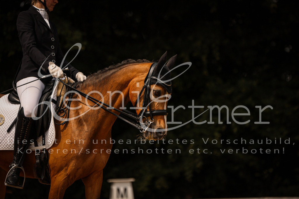 18.SoDrLK00174 | Leoni Ertmer Photography - Realisiert mit Pictrs.com