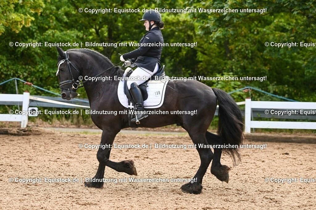 20230716_04_Dressurreiterprüfung Kl.A_0341 | equistock