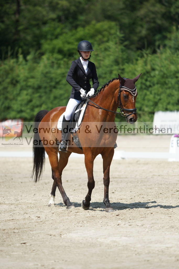 DSC01631 | equestrian-live-com