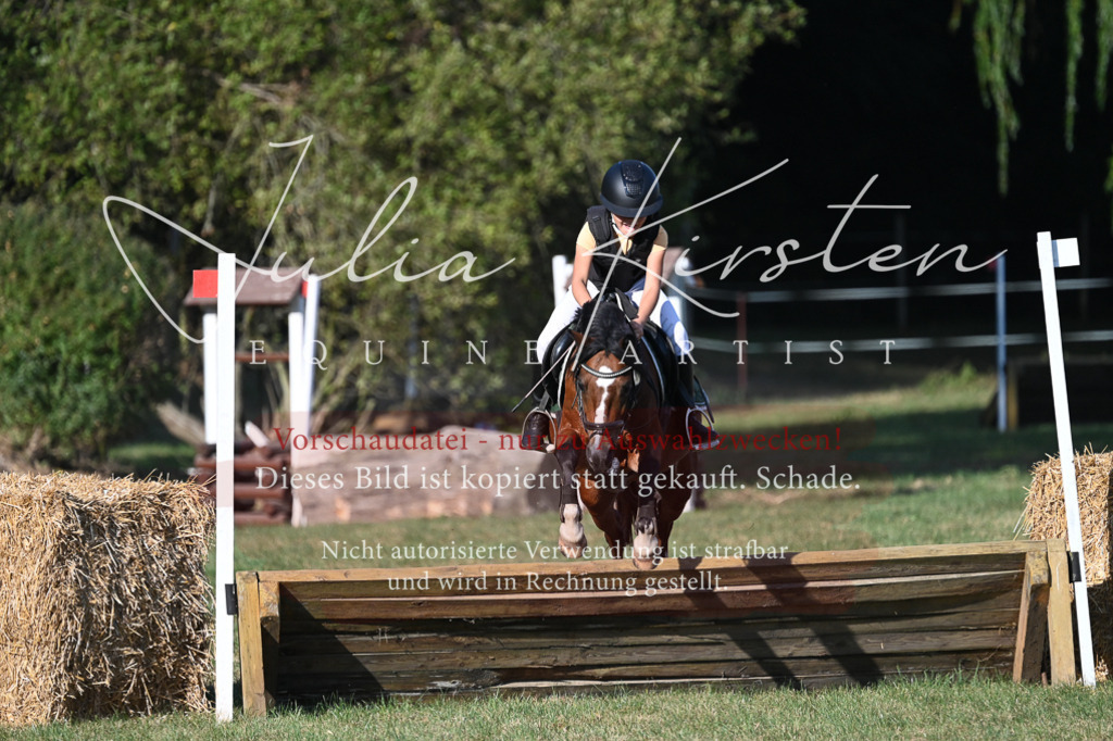 DSC_8971 | Pferde- und Turnierfotografie in Westsachsen. Pferdeportraits, Auftragszeichnungen und intuitive Kunst.
