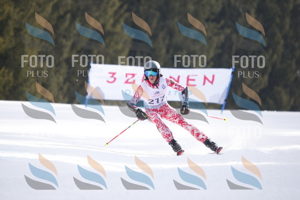 D8353 | holidayphoto