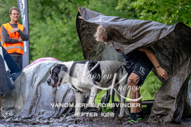 1303_ZZ93886 | kk-dogfotos