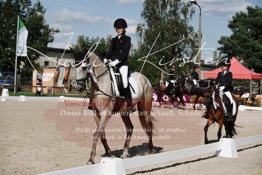 DSC_0240 | Pferde- und Turnierfotografie in Westsachsen. Pferdeportraits, Auftragszeichnungen und intuitive Kunst.