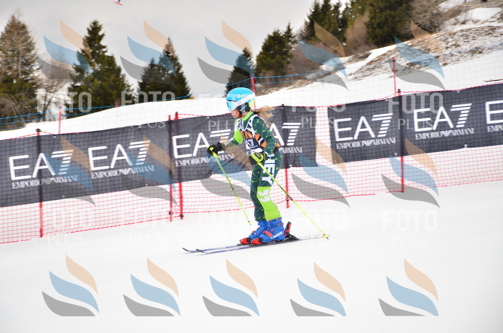 VR4_3011 | holidayphoto