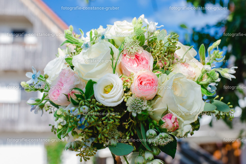 1016 | Fotografie Constance Gruber - Realisiert mit Pictrs.com