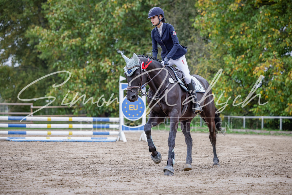 20251012-_3LI3617 | Tierfotografie Pferde, Hunde, Katzen, Haustiere.
Turnierfotografie Reitturniere, Reiten, Springreiten, Dressur in Hanau, dem Main-Kinzig-Kreis und dem Rhein-Main- Gebiet um Frankfurt